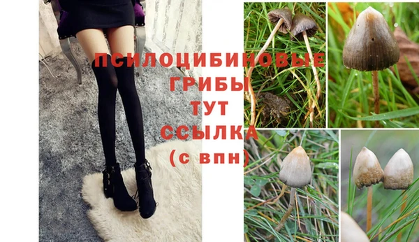 мет Аркадак