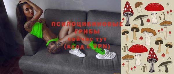 а пвп мука Арсеньев