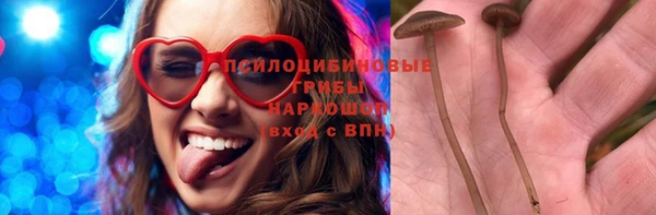 мет Аркадак