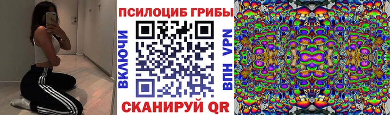 Псилоцибиновые грибы Psilocybine cubensis  продажа наркотиков  Семёнов 